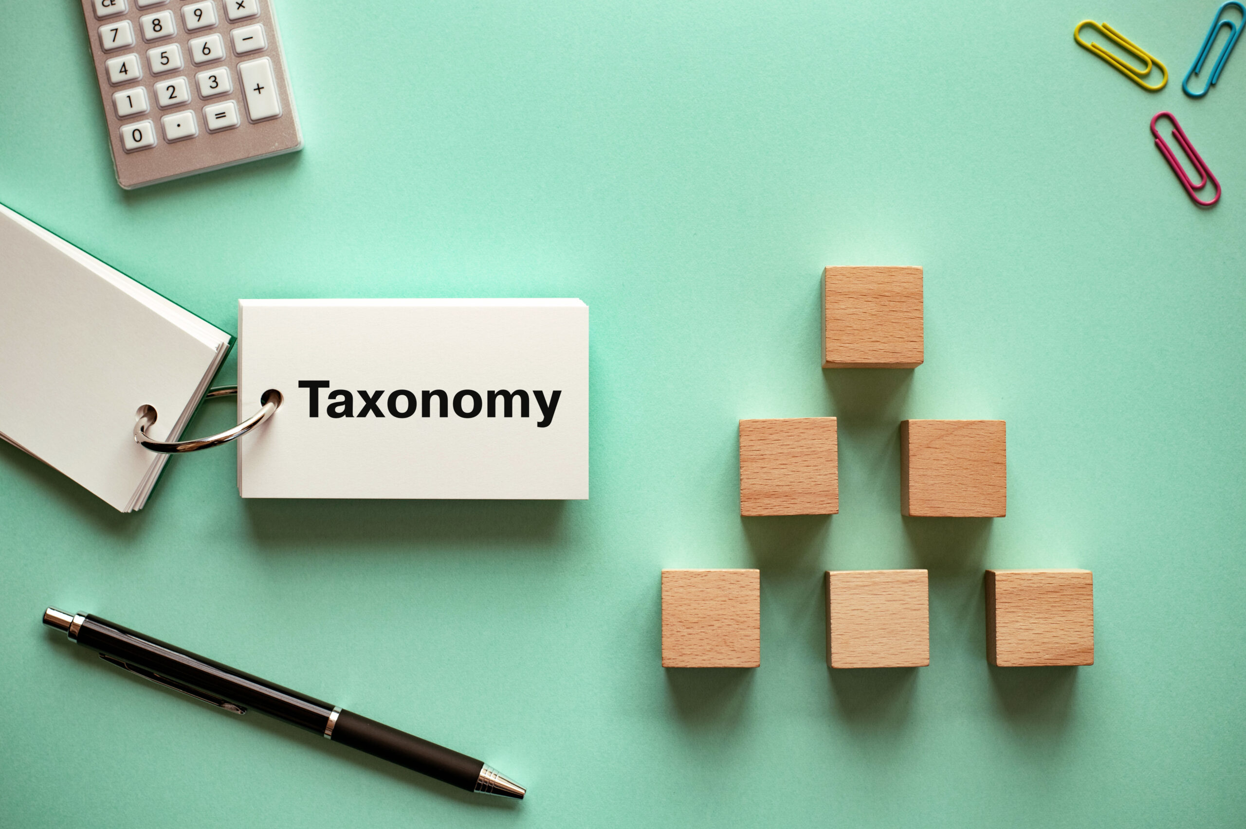 Taxonomy and Pillar Pages - We Do Web